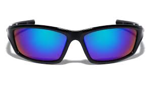 POLARIZED GLASSES